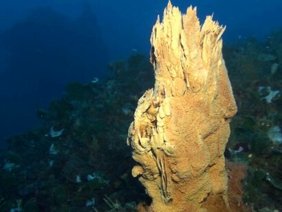 Camini di Panarea. Foto Cnr