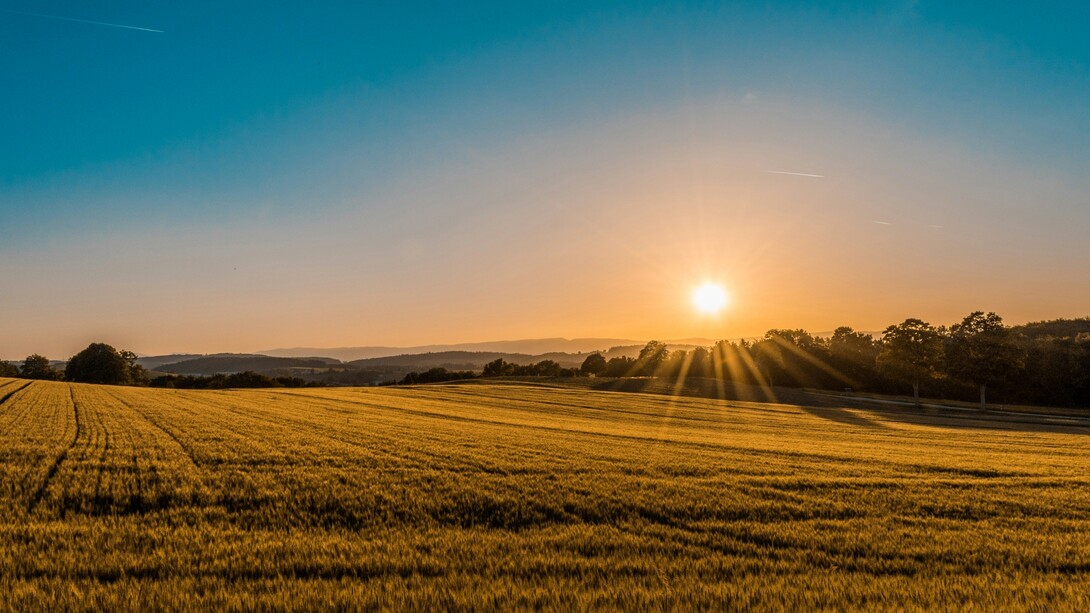 L'utilizzo del fotovoltaico riduce significativamente le emissioni di gas serra, contribuendo a combattere il cambiamento climatico