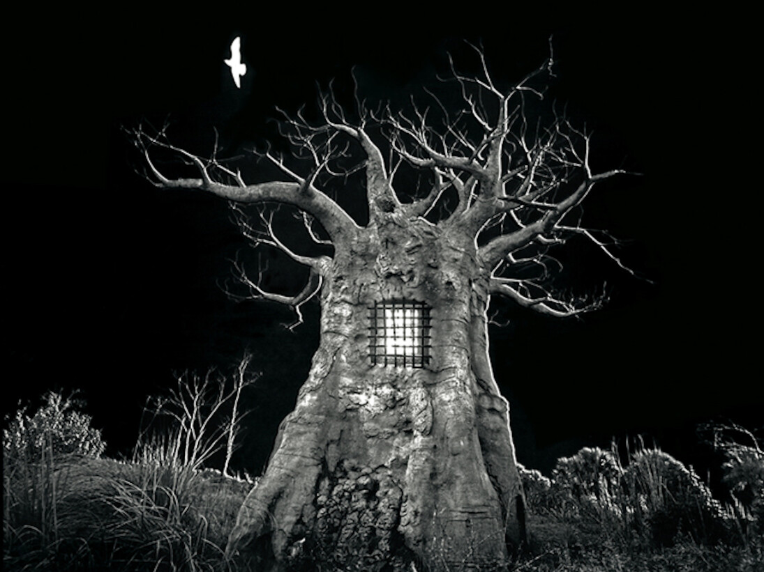 Darkroom Surrealist. Courtesy of Fabian & Claude Walter Galerie