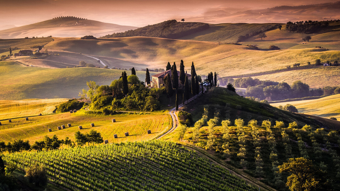Chianti Landscape