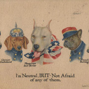 Volunteers. Courtesy of National World War I Museum and Memorial