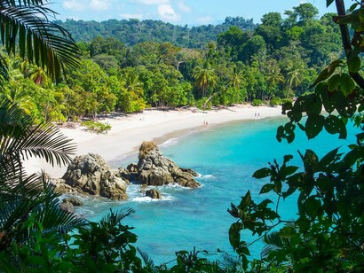 Educating health professionals how to act when an accident with a snake occurs