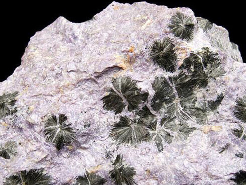 Mineral Hall. Courtesy of Royal Belgian Institute of Natural Sciences