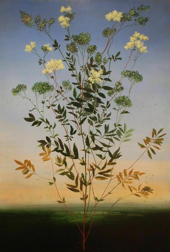 Michael Canning, Lucretia
