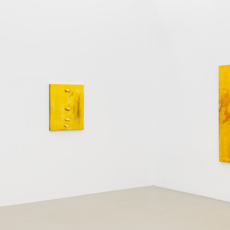 Verschiedene künstler, El dorado, ausstellungsansicht. Mit freundlicher genehmigung der Meyer Kainer Gallery © Simon Veres