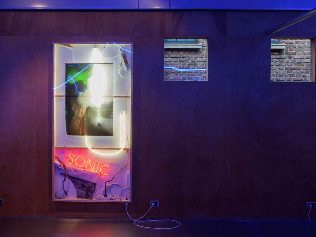 Courtesy Joris Van de Moortel & Galerie Nathalie obadia Paris/Bruxelles. Copyright: We Document Art
