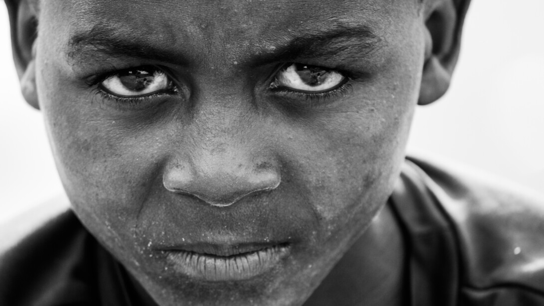 From predation to saving the life of all the inhabitants of the Earth