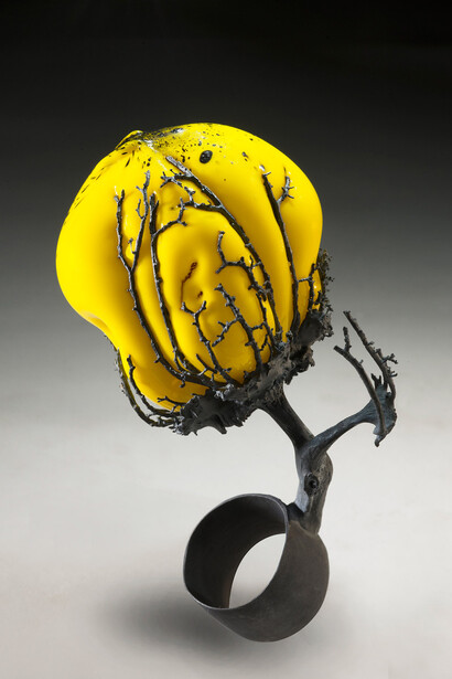 Anello di Paolo Marcolongo