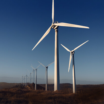 The goal is building a global ecological civilization that is democratic, sustainable, peaceful and just