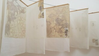 INTER/Fases, Dinorah Carballo en el Museo Rafael Ángel Calderón Guardia