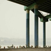 Nadav Kander, Chongqing VI (Sunday Afternoon), Chongqing Municipality, 2006 Chromogenic print, 117 x 149 cm (Edition of 3), 96.5 x 123 cm (Edition of 5), 77 x 98 cm (Edition of 5), Image courtesy of artist and Blindspot Gallery