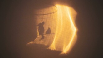 De jaulas y amores tóxicos