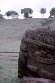 Parco Archeologico San Agustín, petroglifo