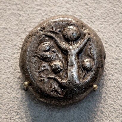 Tetradracma in argento con pianta e frutto di silfio tra due delfini, 500-450 a.C., Berlino, Germania