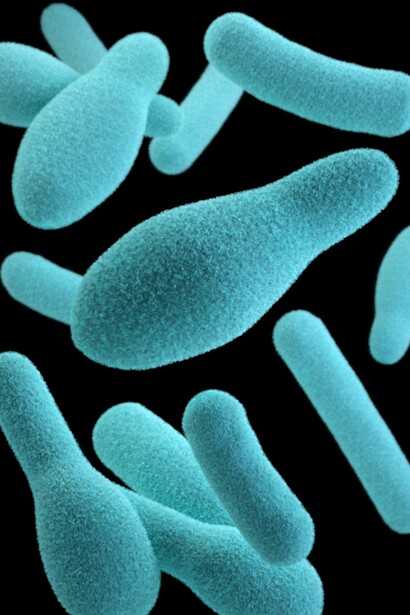Recreación digital de la bacteria Clostridium botulinum