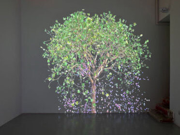 Jennifer Steinkamp. Courtesy of The Portland Art Museum