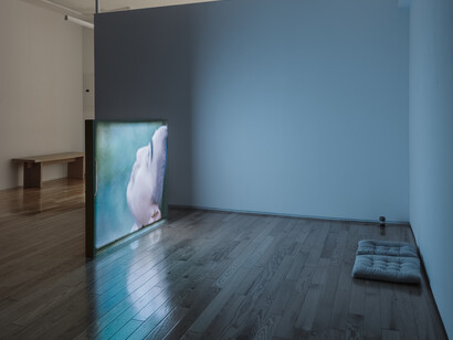 Hồng-Ân Trương, If you can hear the sound of my voice, clap once, exhibition view. Courtesy of island Gallery