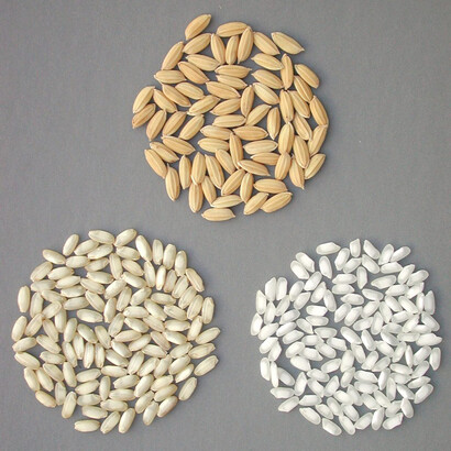 La celiachia non è una scelta alimentare