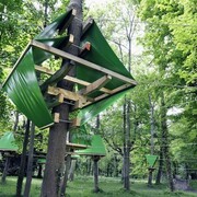 Rise, Ed.1 of 1, 2013 Wood, PVC tarpaulin. 210 x 210 x 242 cm