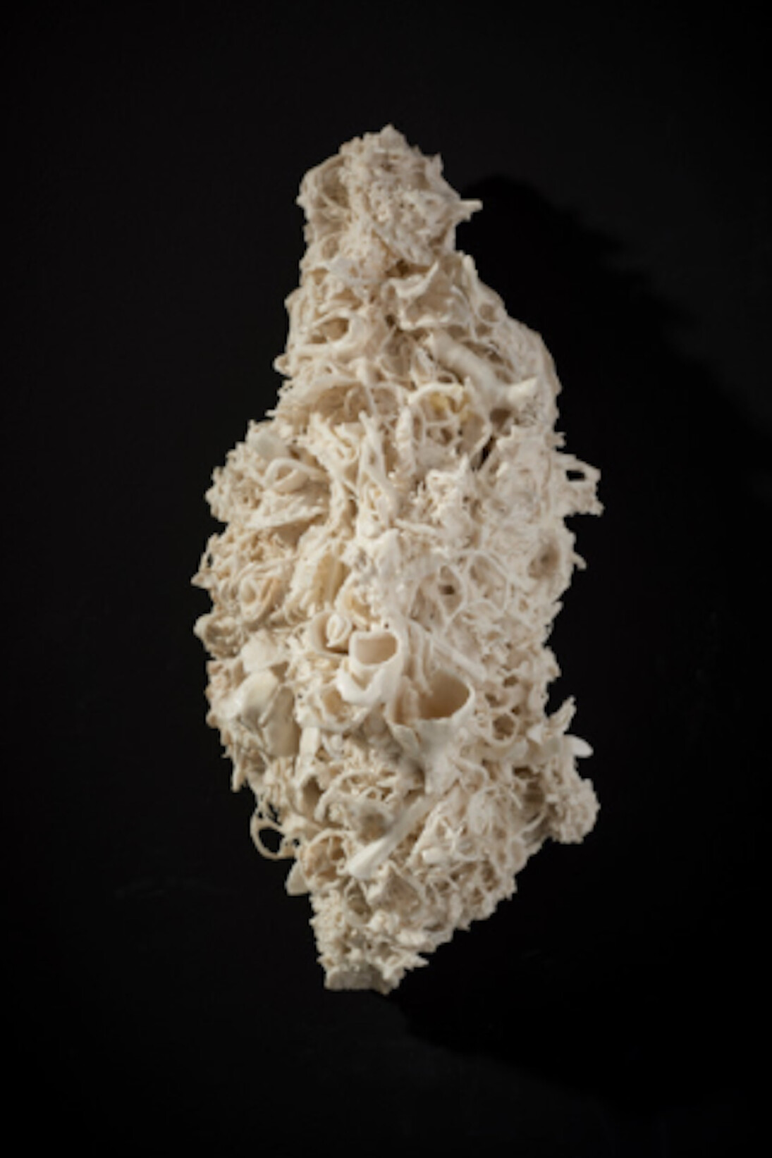 Lucille Lewin, New Order I, 2017. Courtesy of Cynthia Corbett Gallery