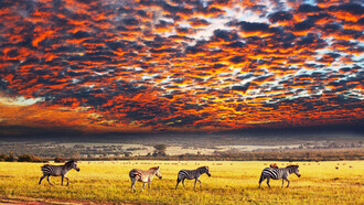 Atardecer en el Parque Nacional Serengueti