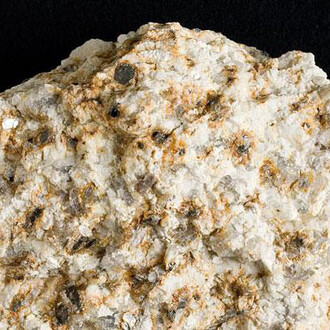 Mineral Hall. Courtesy of Royal Belgian Institute of Natural Sciences