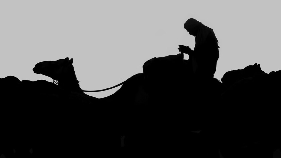 Hombre en el desierto durmiendo montado
