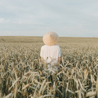Filho caçula contempla a imensidão do campo de sua família e o trigo prestes a ser colhido