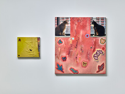 Pol Morton / Sara Murphy, installation view, 2023. Courtesy of the artists and White Columns, New York