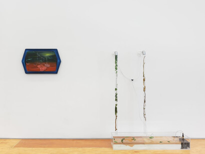 Carolina Fusilier, Imago, exhibition view. Courtesy of Margot Samel Gallery