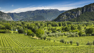 Il paesaggio della Franciacorta. Foto Fabio Cattabiani