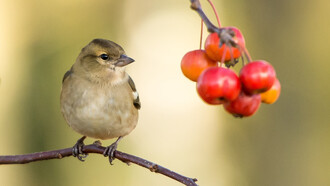En los pueblos se encuentra la esencia, nuestra esencia