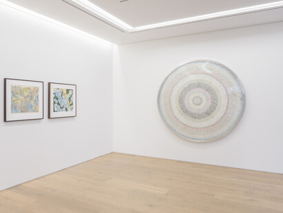 Bharti Kher
View of the exhibition Djinns, things, places at Perrotin Tokyo. November 14 – December 15, 2018
© Photo: Kei Okano. Courtesy of the artist & Perrotin