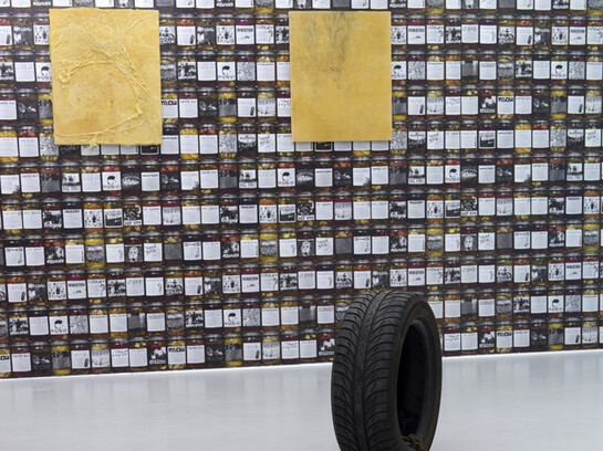 Bill Hayden, Sam Pulitzer, Antek Walczak, Exhibition view "War Pickles II", Air de Paris, Paris, 2014, Photo Marc Domage, Courtesy Air de Paris, Paris