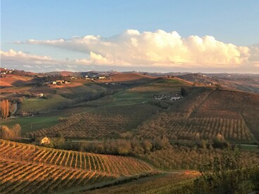 Autunno a Grinzane Cavour, Langhe, Piemonte, Italia. Foto di Tomatis Davide