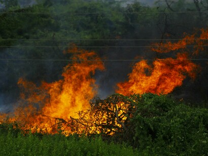 Árvores consumidas pelo fogo, com chamas altas e fumaça densa dominando a paisagem. O cenário reflete a dimensão da destruição que se repete ano após ano