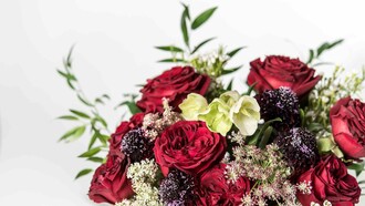 A tía Cecilia le estaré agradecido por su bondad y plena generosidad