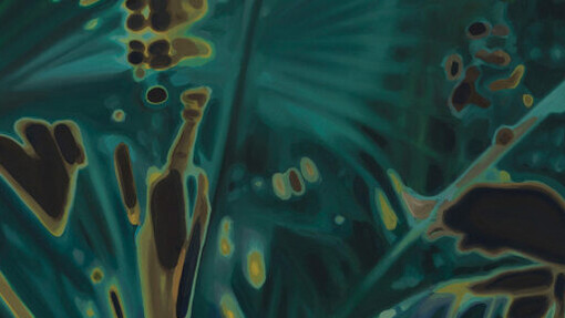 Isabelle De Kleine, Thermal (detail), 2025. Courtesy of Linton and Kay 