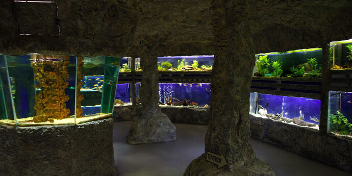 Aquarium. Courtesy of Regional Natural History Museum of Plovdiv