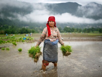 This is the story of those women who are continously working to feed their families