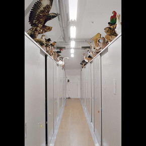 Denise Bertschi. Courtesy of Aargauer Kunsthaus