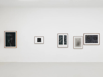 Maximilian Prüfer, Nebenlinien – 15 Jahre Naturantypie, ausstellungsansicht. Mit freundlicher genehmigung der Galerie Kandlhofer