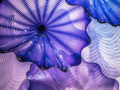 Chihuly Now. Courtesy of Halcyon Gallery