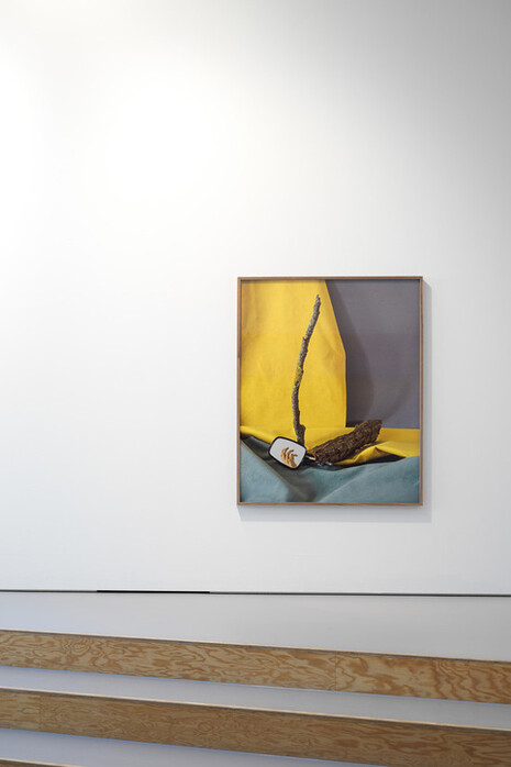 Nuria Fuster. Courtesy of Efremidis Gallery