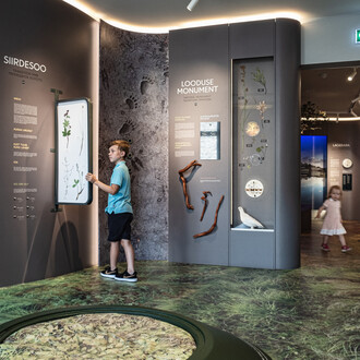 Permanent exhibition, exhibition view. Courtesy of Estonian Natural History Museum