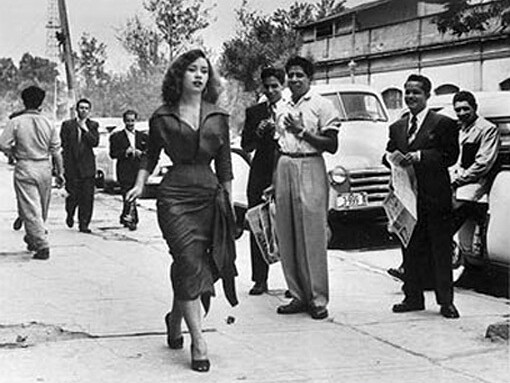 Un animal exótico camina solo por la calle: una mujer