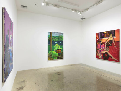 Patrick Bayly. Like a lion, my hands and my feet, installation view. Courtesy of Steve Turner