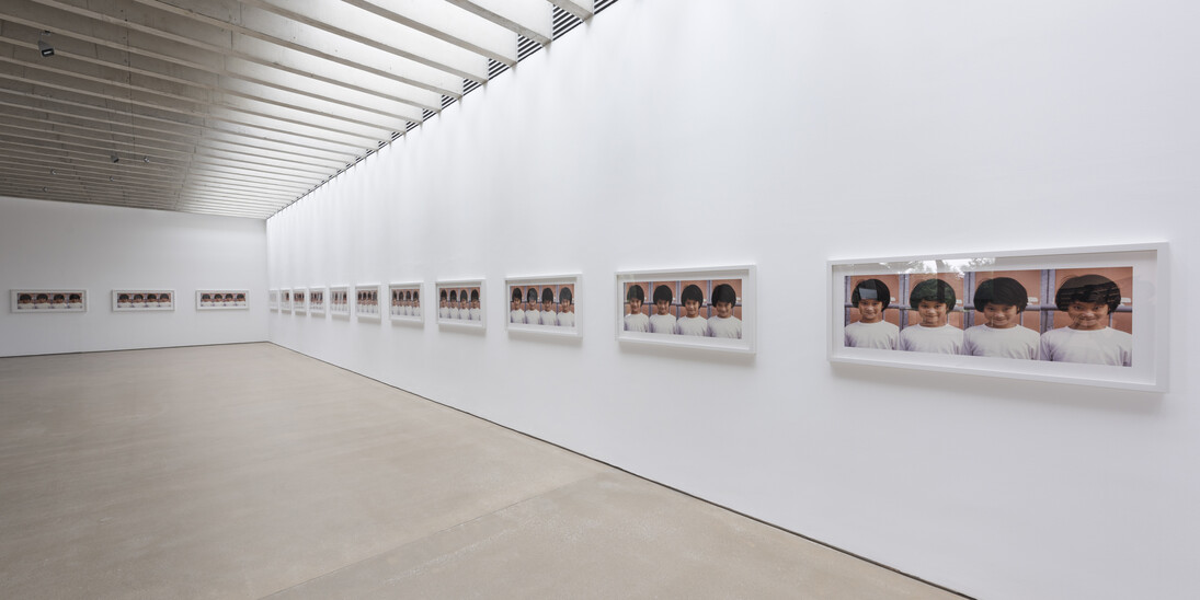 Alfredo Jaar, A Hundred Times Nguyen, 1994. Courtesy the artist, New York and YSP. Photo © Jonty Wilde