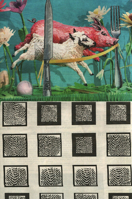 The XY Chromosome Project. Courtesy of Court Tree Gallery