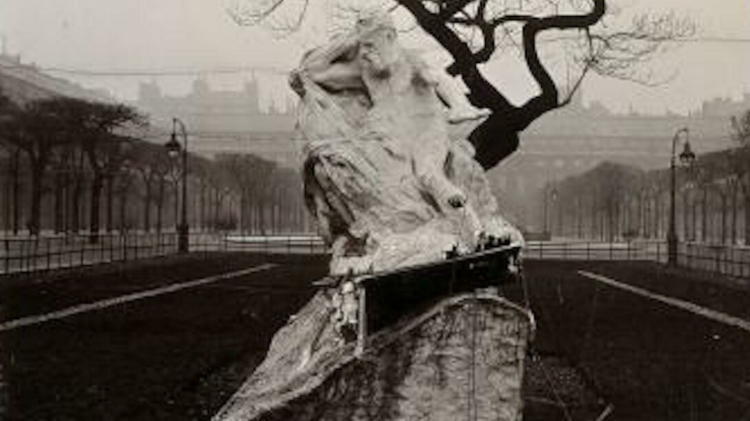 Photographies. Courtesy of Musée Rodin